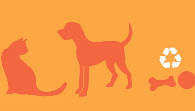 eco pet illustration