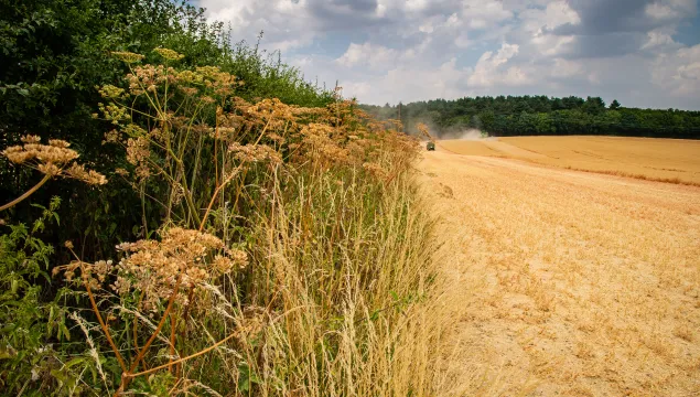 farming wildlife trusts