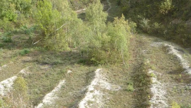 Cutland Pits