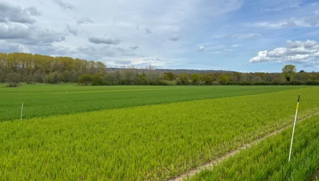 Nitrogen plots