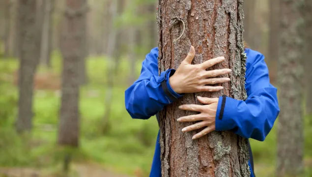 A person's arms wrapped around a tree trunk.