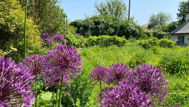 Our beautiful farmhouse garden out in full bloom during summer 