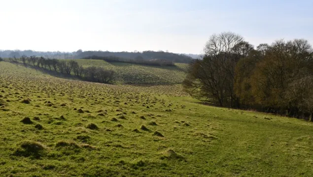 Hoathly Farm landscape