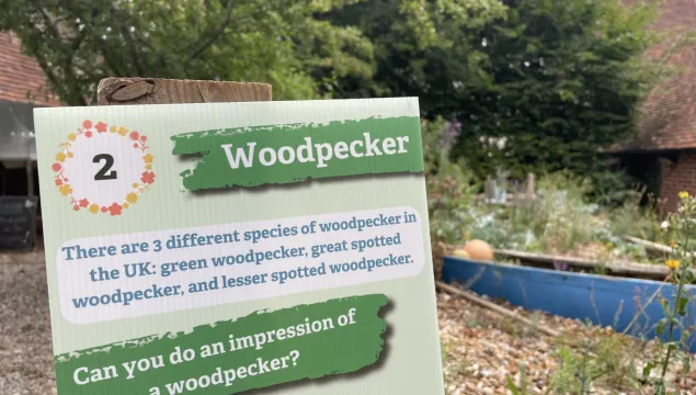 A trail board with information about woodpeckers in the Tyland Barn nature park.