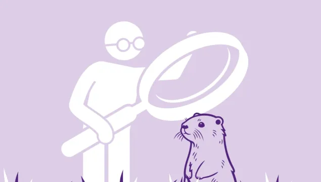 A person with a magnifying glass observing an otter