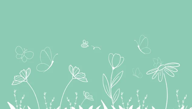 A wildflower meadow