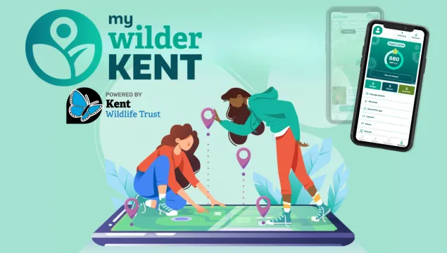 Two people dropping map pins onto a mobile phone screen from above