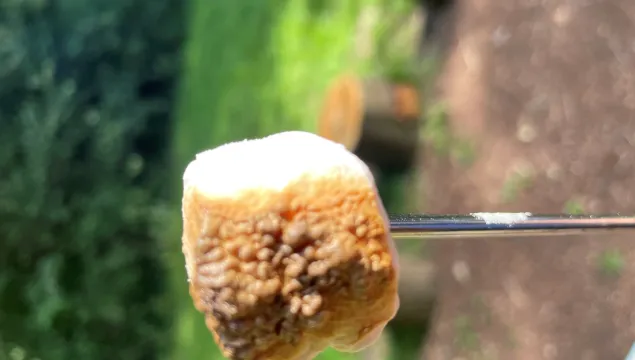 Marshmallow