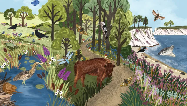 Nature Restoration Fund final illustration full