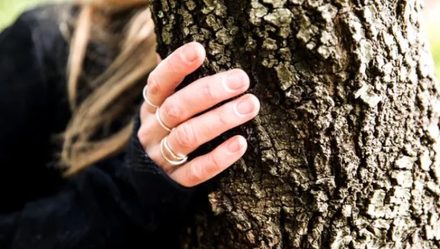 Hand touching a tree