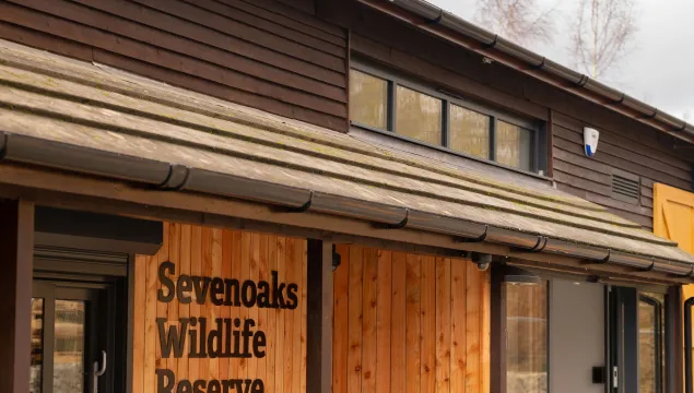 Exterior of Harrison Sevenoaks Visitor Centre