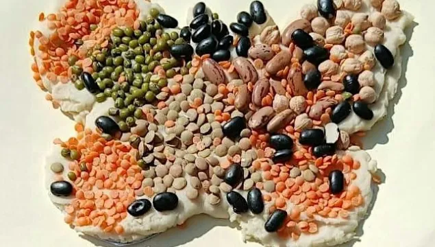 A butterfly shape made from salt dough, decorated with  mix of coloured seeds and beans