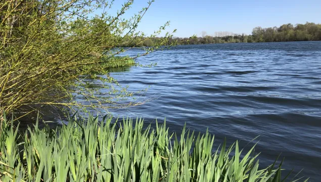 Sevenoaks Wildlife Reserve lake