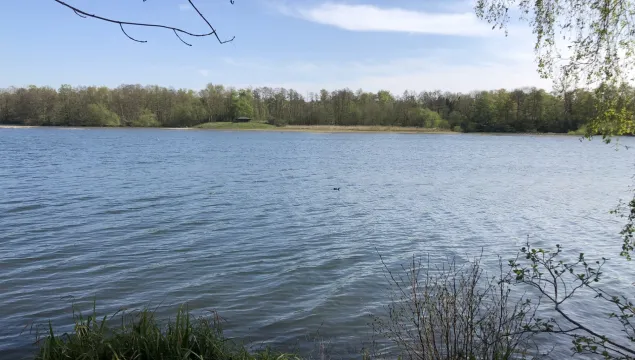 Spring leaves framing a lake at Sevenoaks Wildlife Reserve