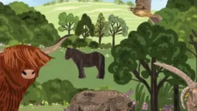 Amazing Grazing banner