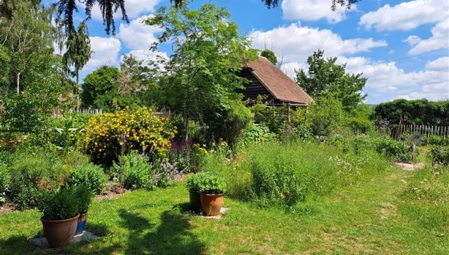 A barn building surrounded by summer foliage.
