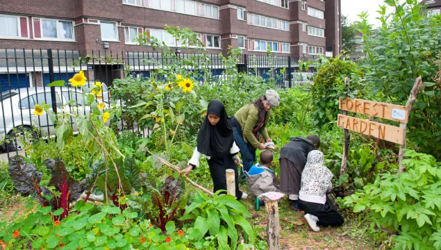 people in community garden