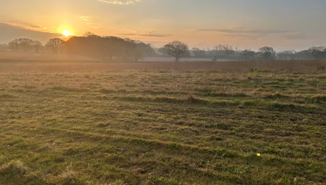 Summer morning in the UBFC area