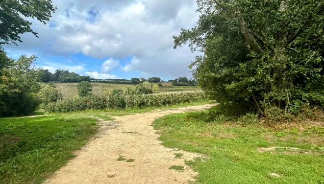 Farmed landscape