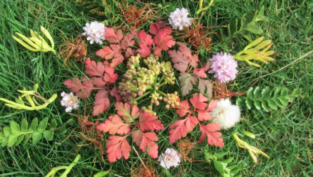nature-mandala.png