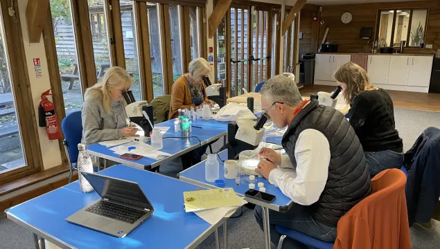 volunteers using microscopes