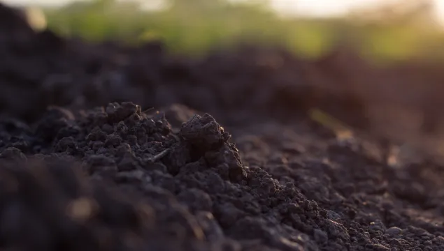 pile of soil against green defocussed background