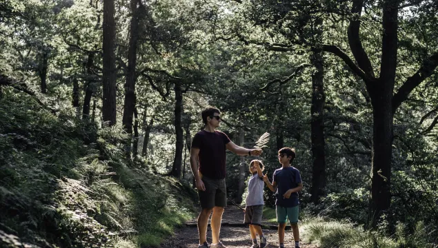 family in woodland 