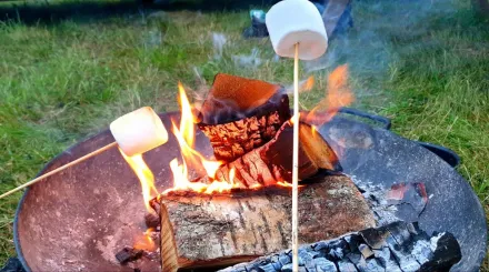 Campfire close up with someone toasting marshmellows over it