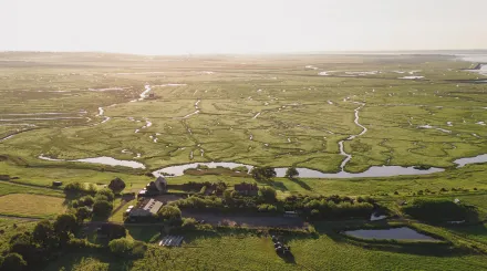 elmley national nature reserve