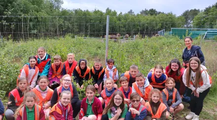 Wilder Schools - Hoath