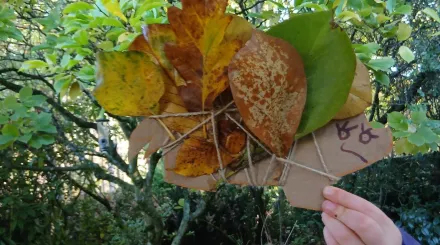 A child's hand holding a cardboard hedgehog with spines made from foraged autumn leaves.