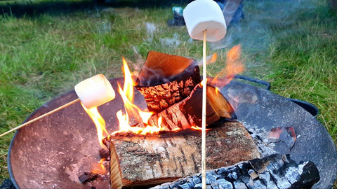 Marshmallows roasting on fire