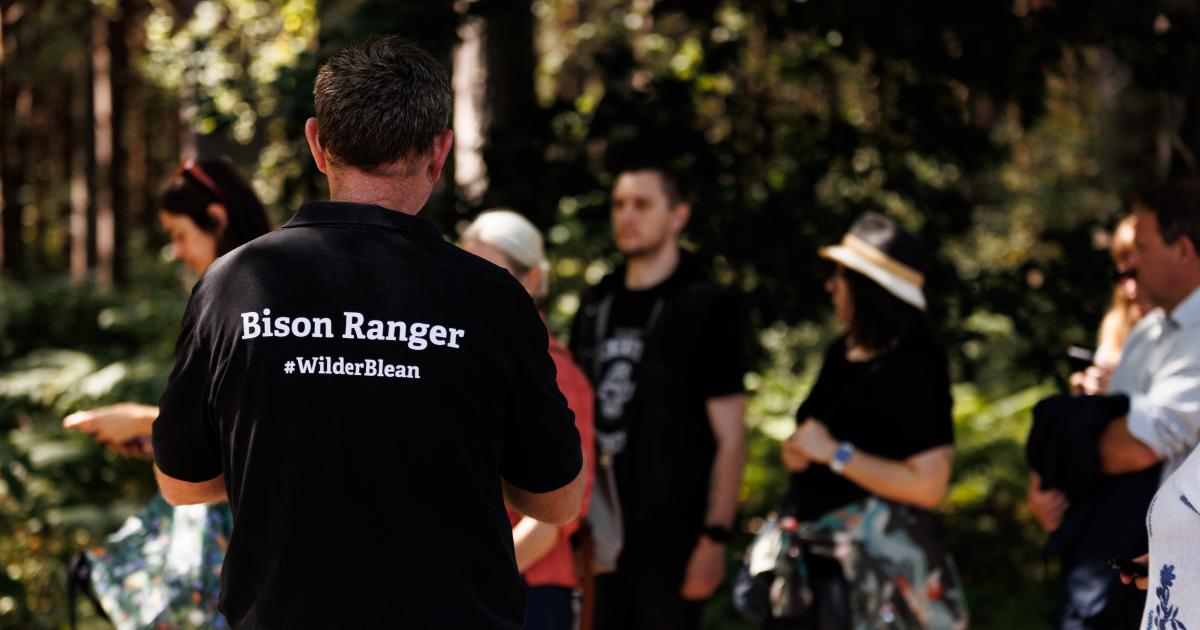 Bison Ranger Riser Bison Ranger Experience: A Morning at West Blean | Kent Wildlife Trust
