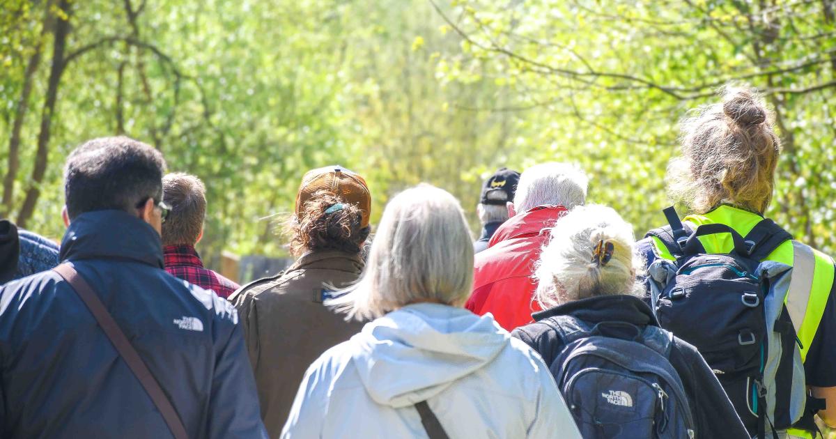 Bats of Kent: Activity Trail at Sevenoaks Wildlife Reserve, from Kent Wildlife Trust