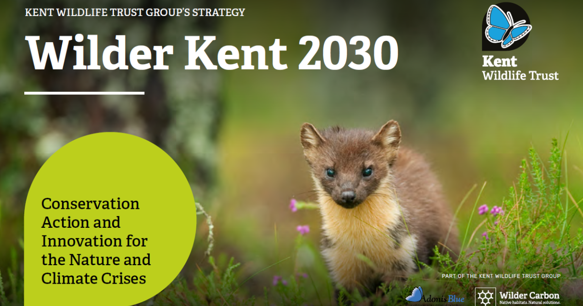 Kent Wildlife Trust lay out ambition to increase wildlife abundance and ...