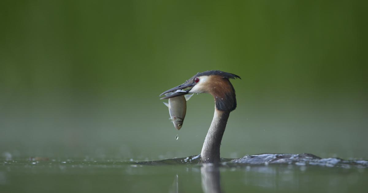 Our Work | Kent Wildlife Trust