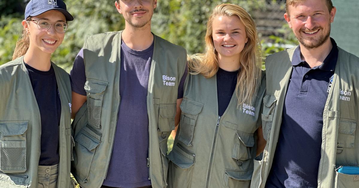 Bison Ranger Experiences: Guided Tour | Kent Wildlife Trust