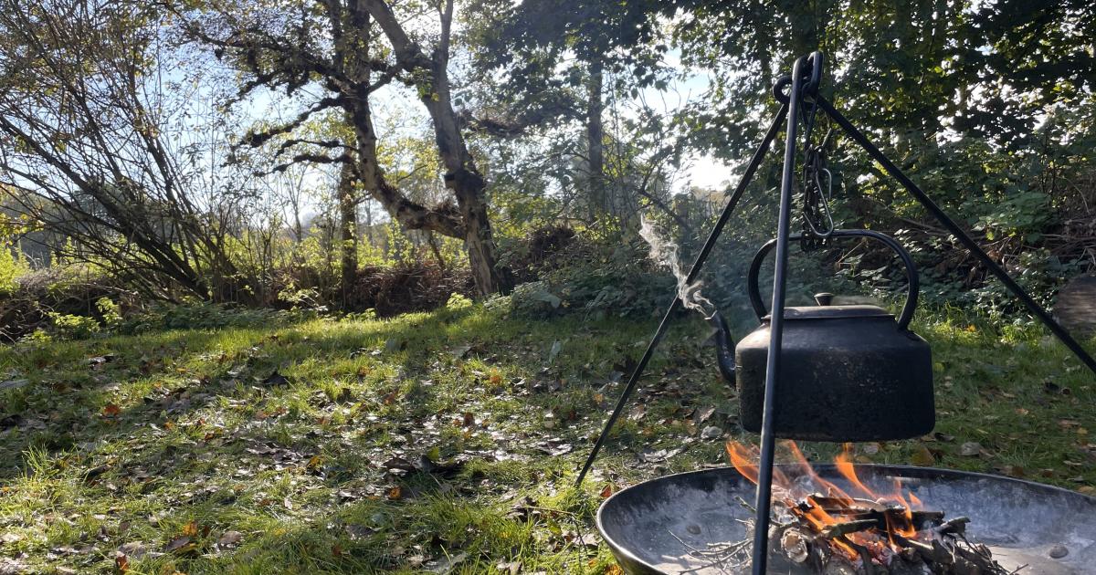 Halloween craft and campfire at West Blean and Thornden Woods, from Kent Wildlife Trust