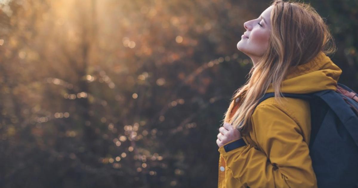Weekend Wellness: Forest Bathing in Hothfield Heathlands