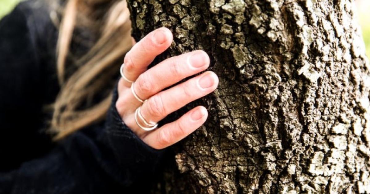 Weekend Wellness: Forest Bathing in Hothfield Heathlands