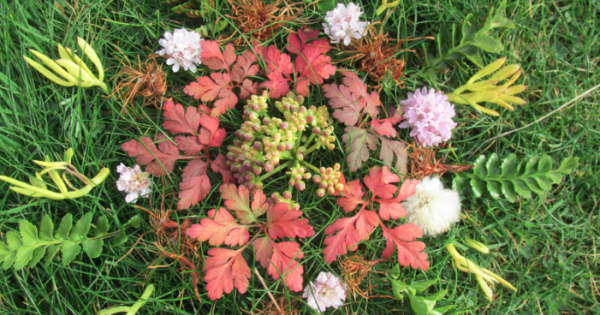 Weekend Wellness: Mindful Walk and Nature Mandala at Sevenoaks