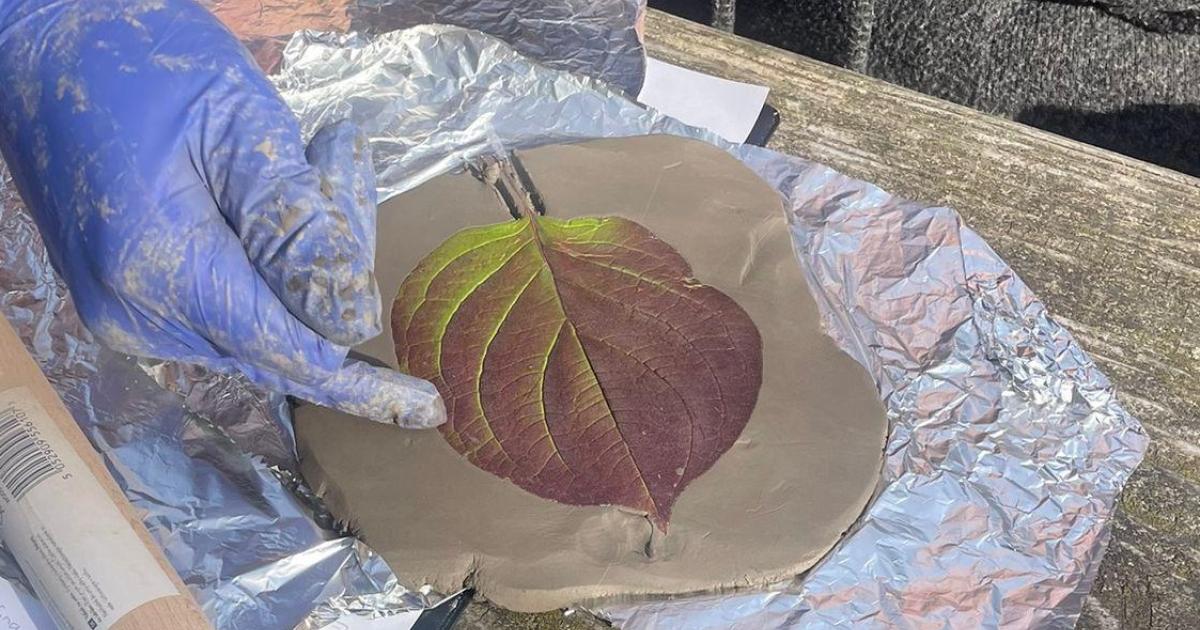 Weekend Wellness: Mindful Walk and Nature Clay imprint