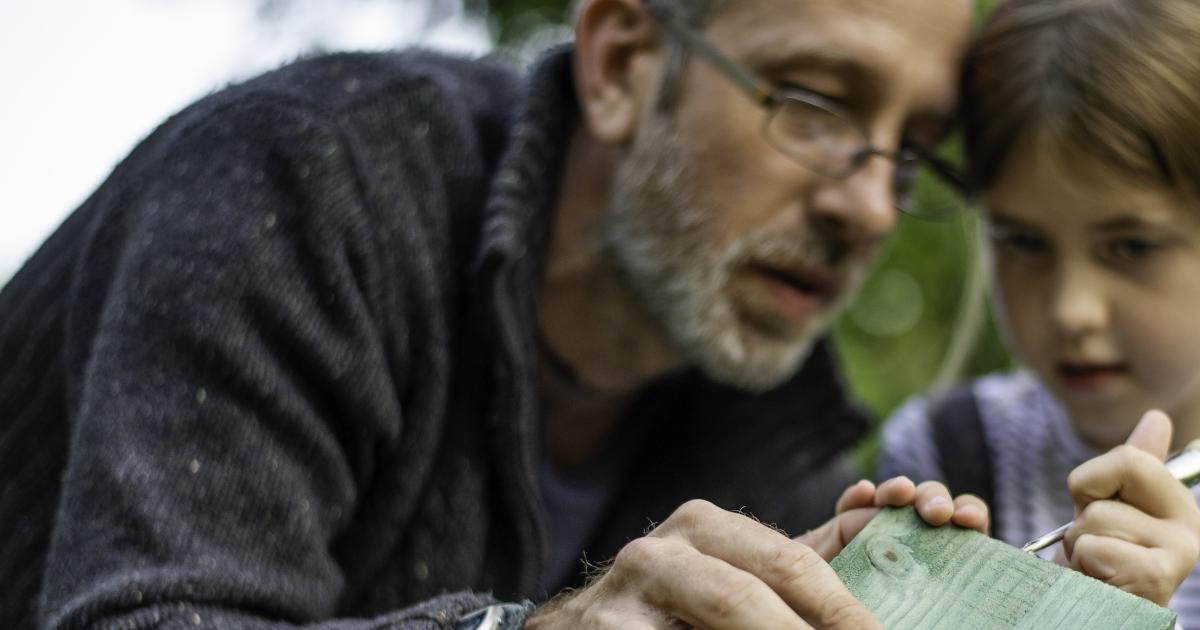 Family bat box making at Sevenoaks Wildlife Reserve, from Kent Wildlife Trust