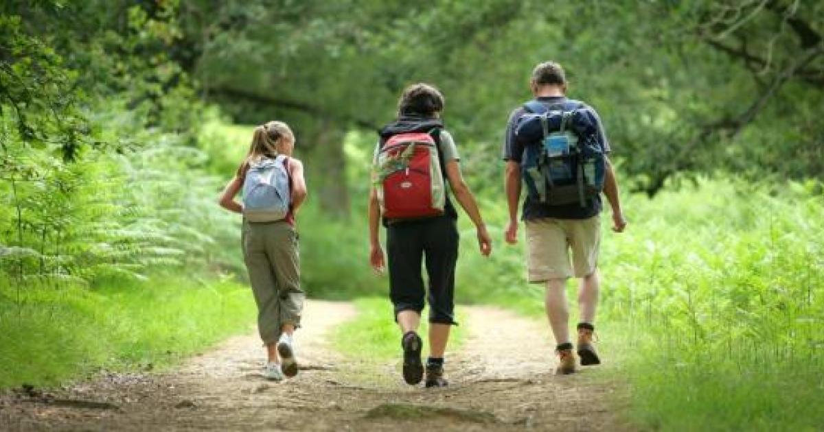 Walking Works! | Kent Wildlife Trust