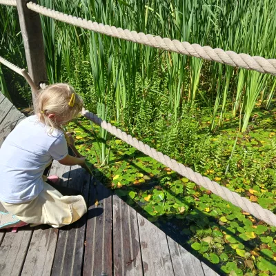 Holiday Club Tyland Barn pond dipping