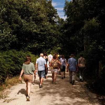 The Blean Wildscape | Kent Wildlife Trust