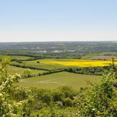 A view across Blue Bell Hill, with trees framing either side.