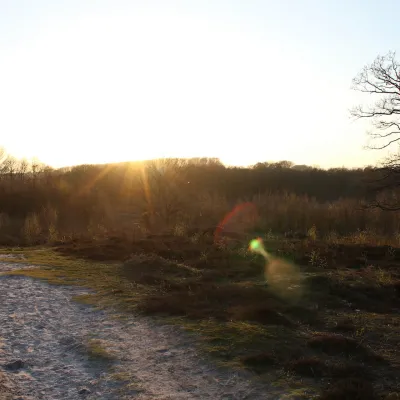 A view across Hothfield Heathlands at sunset