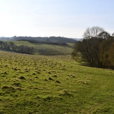 Hoathly Farm landscape