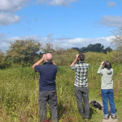 Four people bird watching with binoculars.